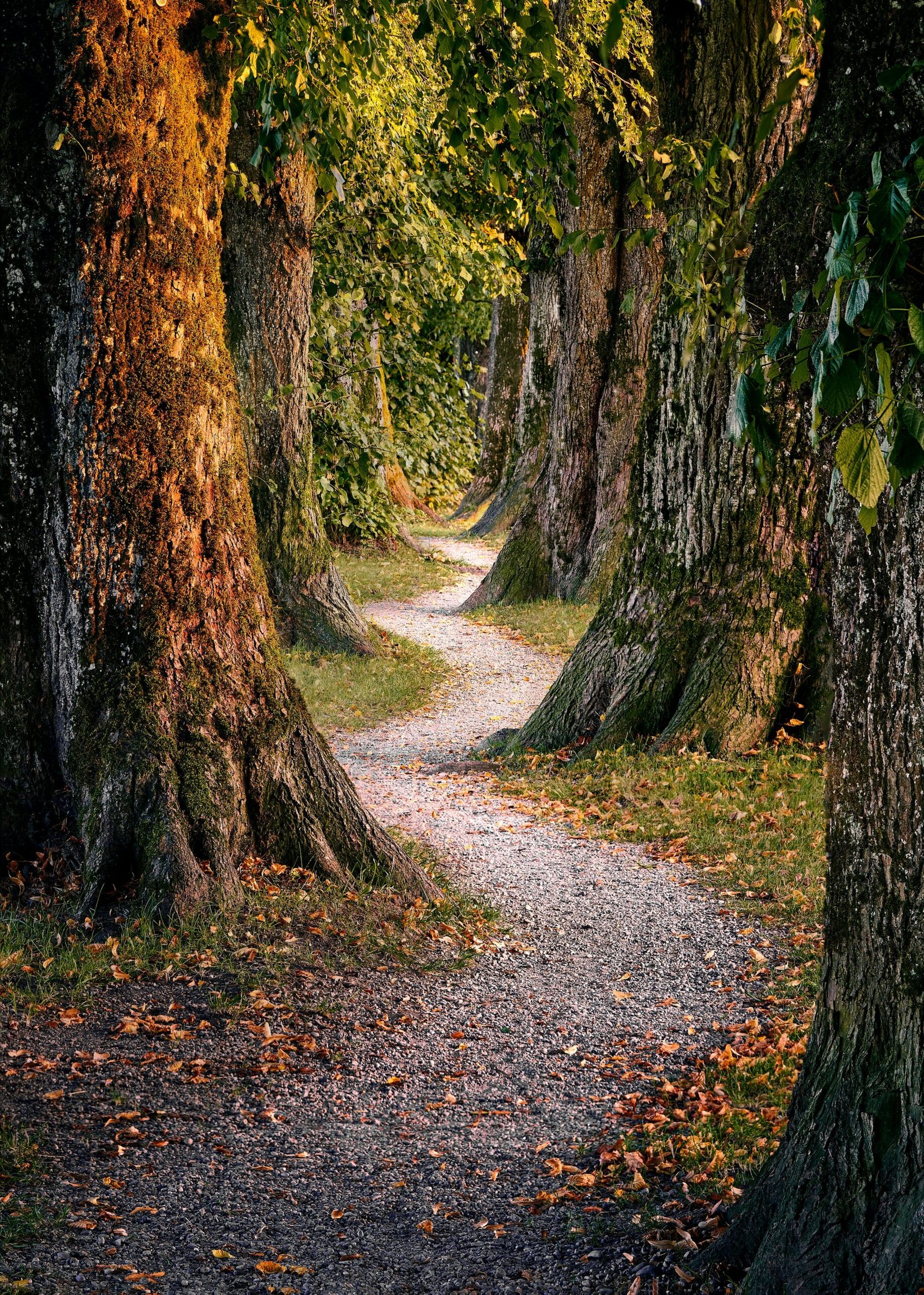 mario-dobelmann-gw-aplKL3Qg-unsplash